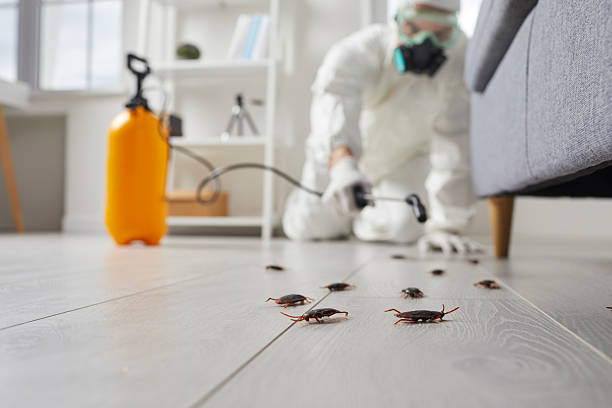 Post-Treatment Bed Bug Interceptor Monitoring in Galena