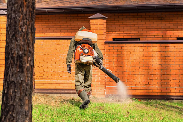 Bed Bug Clearance Verification and Documentation in Galena